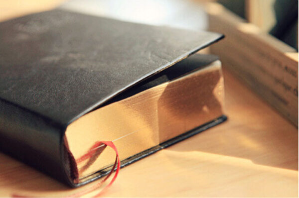 Vintage Notebooks with Thick Leather Cover