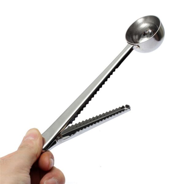 Stainless Steel Tea Scoop with Clip