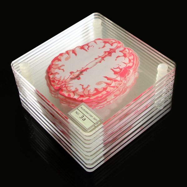 3D Brain Printed Table Coaster