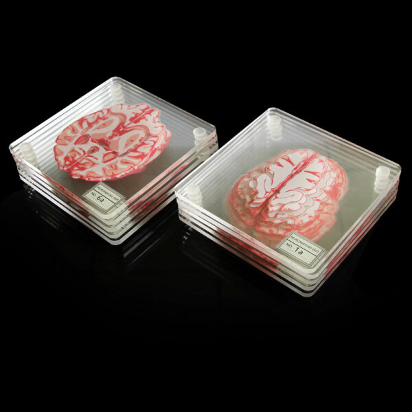 3D Brain Printed Table Coaster