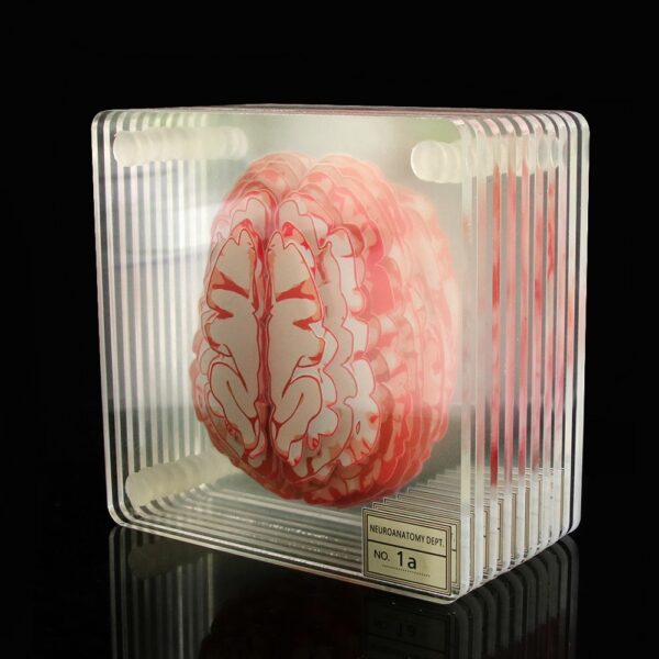 3D Brain Printed Table Coaster