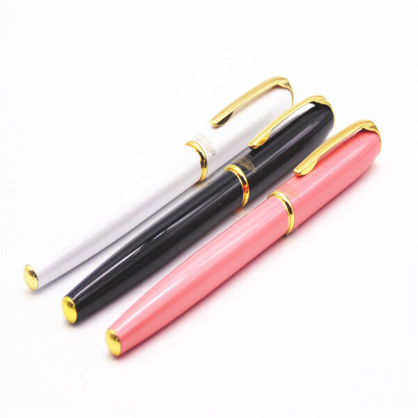 Business Office Fountain Pen