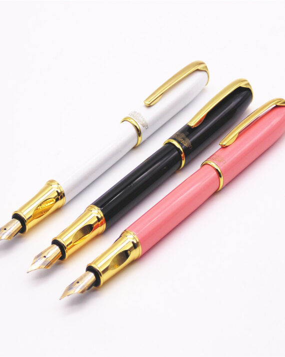 Business Office Fountain Pen