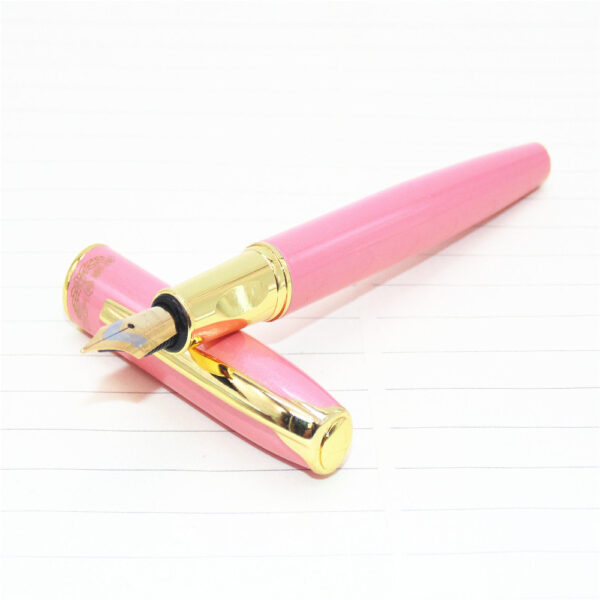 Business Office Fountain Pen