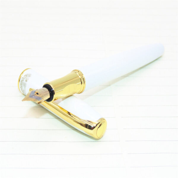 Business Office Fountain Pen