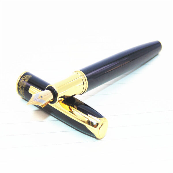 Business Office Fountain Pen